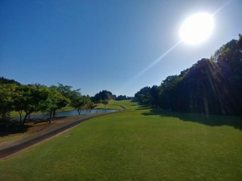 5f9cc87bf57868e42cb191c4eeb33f47_1753852311_3441.jpg